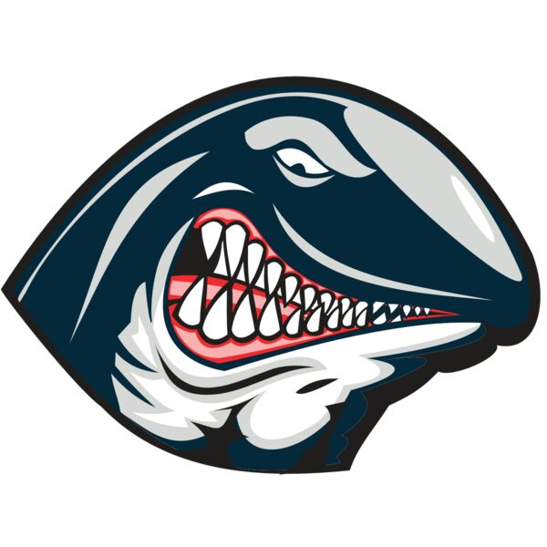 WHALE HD0501 RQC Thumbnail