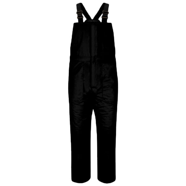 CS Bib Overall Thumbnail